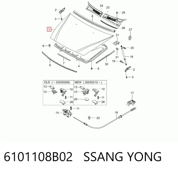 Capó 6101108B02 Ssang Yong