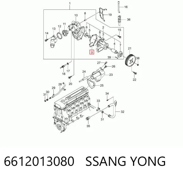 Junta de bomba de agua SsangYong Rodius 