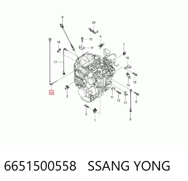 Sensor de presion gases de escape 6651500558 Ssang Yong