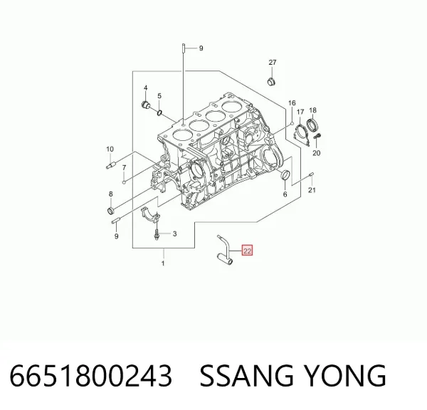Tobera de aceite 6651800243 Ssang Yong