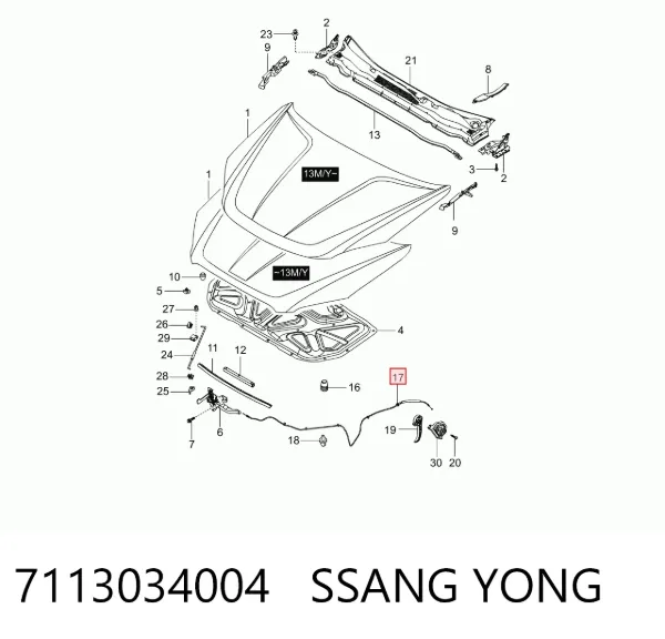 Cable de capó del motor 7113034004 Ssang Yong