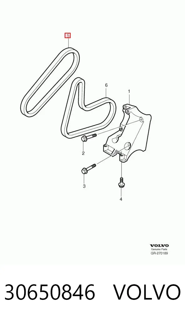 Correa de alternador 30650846 Volvo