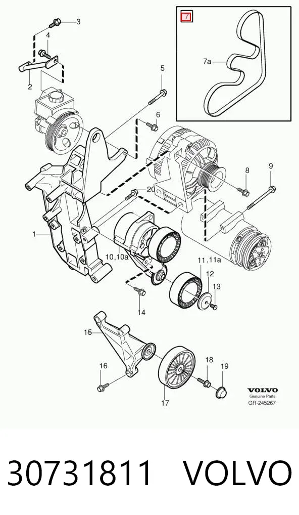 Correa de alternador 30731811 Volvo