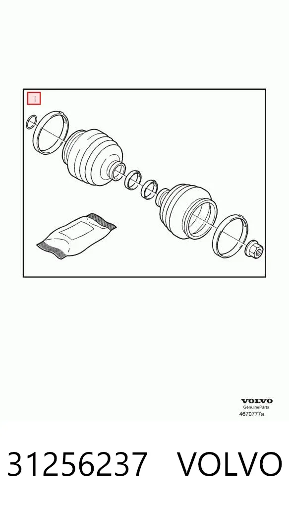 Fuelle de palier delantero exterior 31256237 Volvo