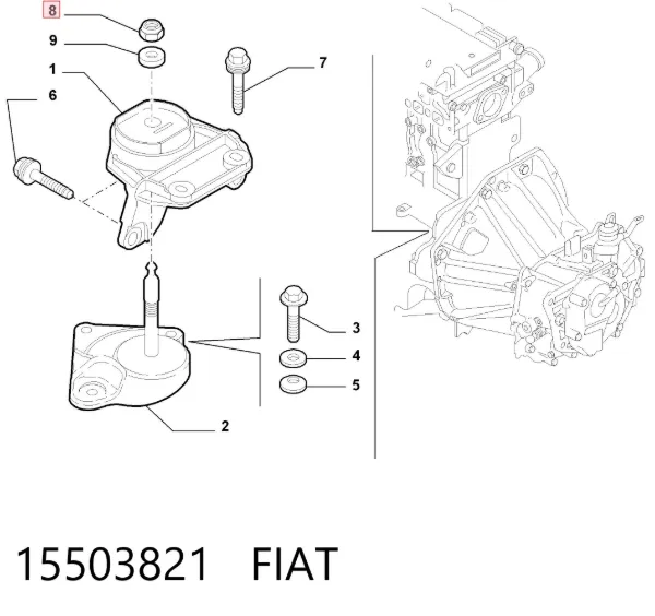 Tornillo (tuerca) de sujeción 15503821 Fiat/Alfa/Lancia