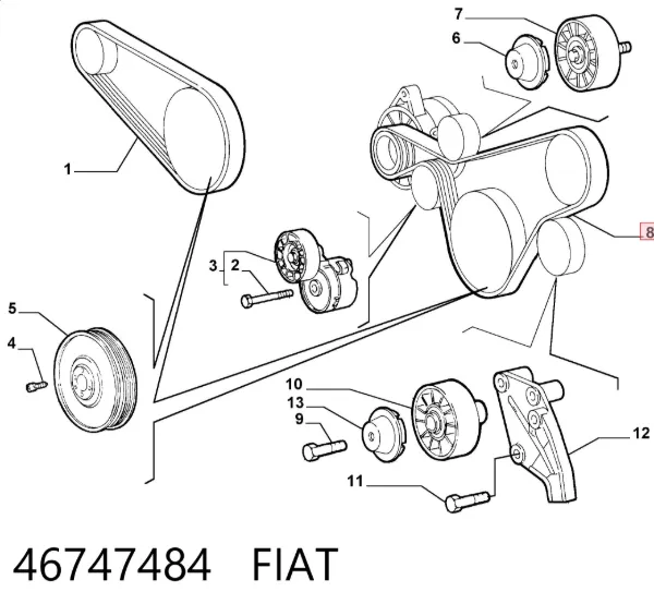 Correa de alternador 46747484 Fiat/Alfa/Lancia