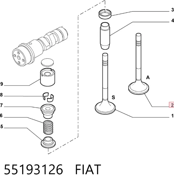 Válvulas de admisión 55193126 Fiat/Alfa/Lancia