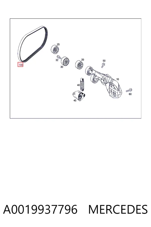 Correa de alternador A0019937796 Mercedes