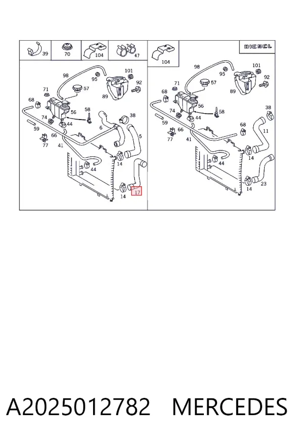 Manguera inferior del radiador A2025012782 Mercedes