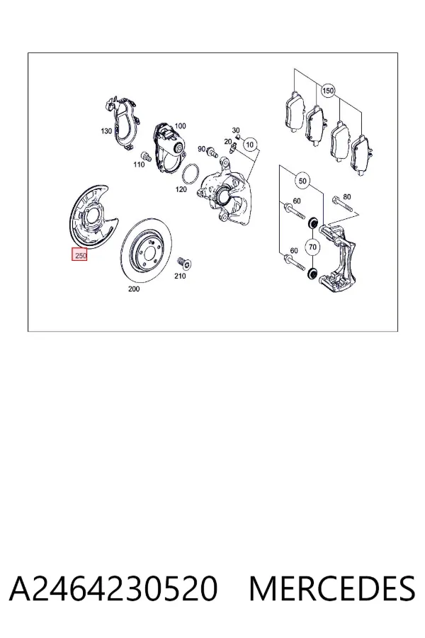 Protector de disco de freno trasero derecho A2464230520 Mercedes
