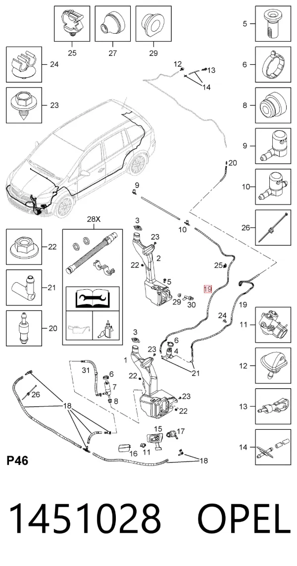Manguera del lavaparabrisas 1451028 Opel