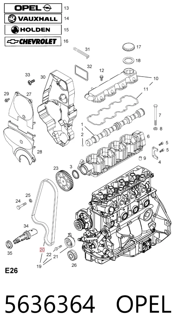 Correa distribución 5636364 Opel