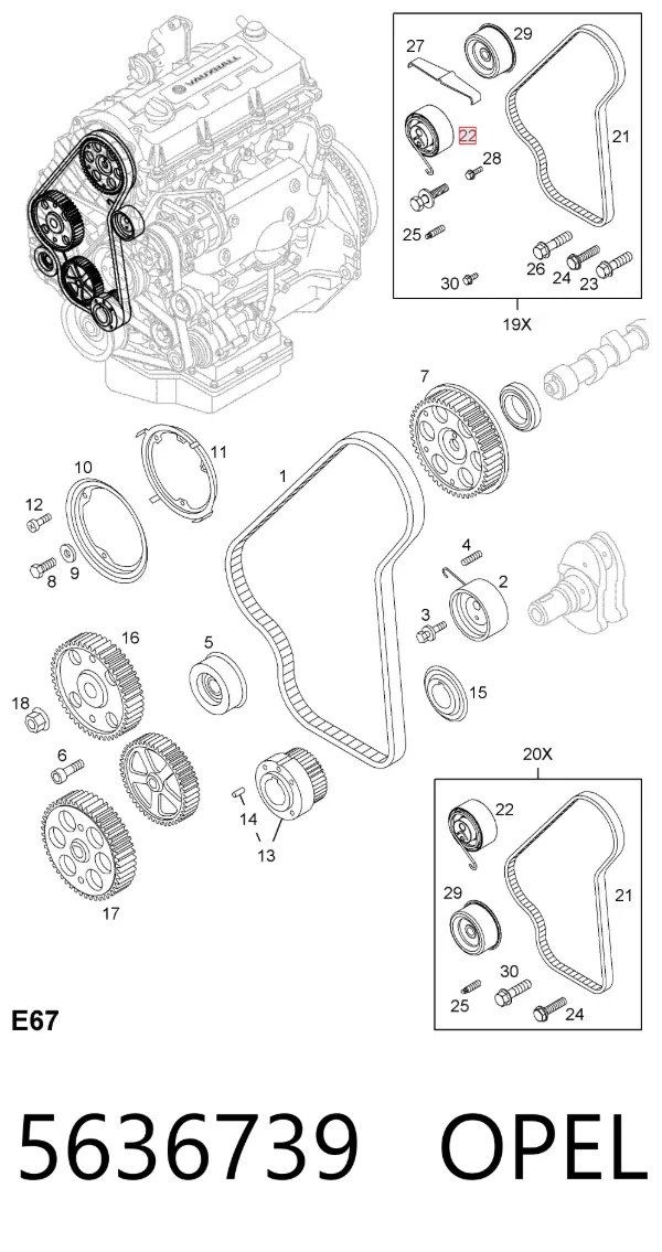 Tensor correa distribución 5636739 Opel