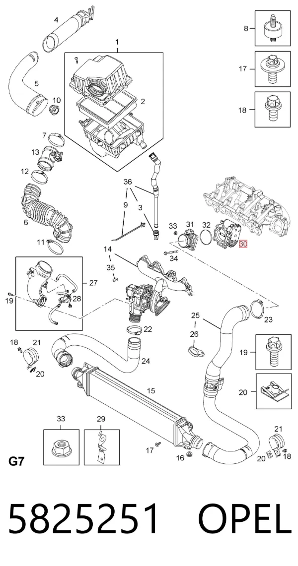 Cuerpo de mariposa 5825251 Opel
