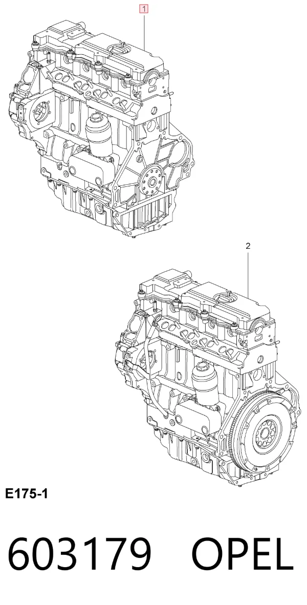 Motor completo 603179 Opel