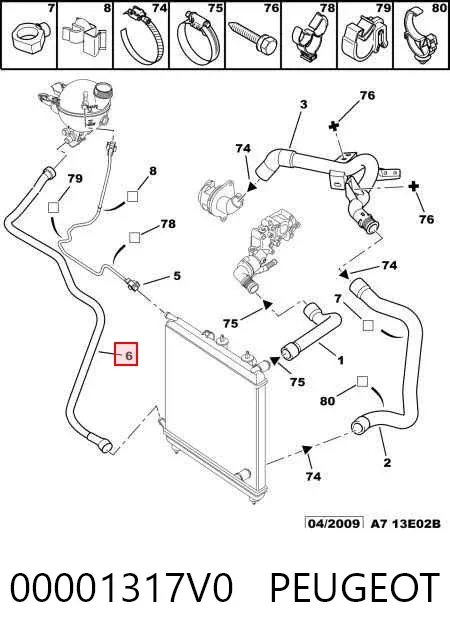 Manguera radiador 00001317V0 Peugeot/Citroen