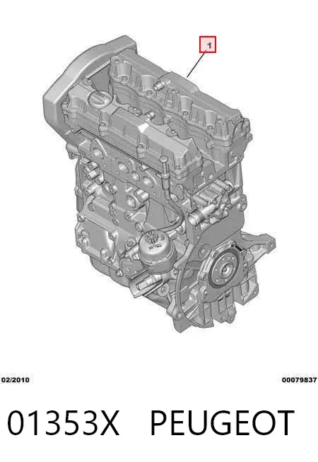Motor completo Citroen Berlingo B9