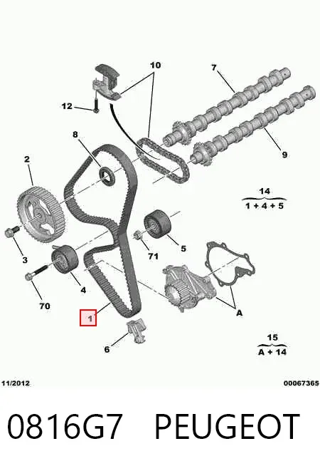 Correa distribución 0816G7 Peugeot/Citroen