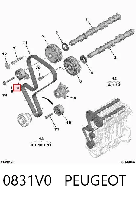 Kit de distribución 0831V0 Peugeot/Citroen