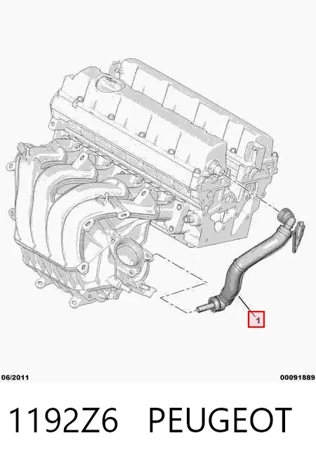 Tubo de ventilación del cárter 1192Z6 Peugeot/Citroen