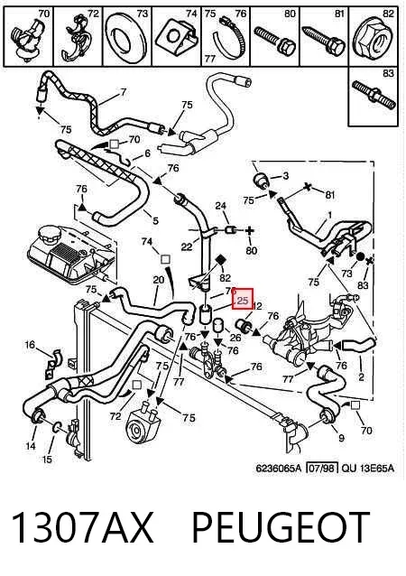 Manguera inferior del radiador 1307AX Peugeot/Citroen