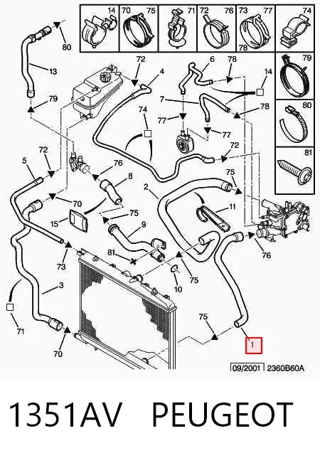 Manguera inferior del radiador 1351AV Peugeot/Citroen
