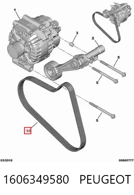 Correa de alternador 1606349580 Peugeot/Citroen