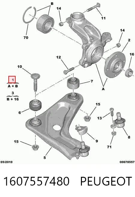 Mangueta delantera izquierda 1607557480 Peugeot/Citroen