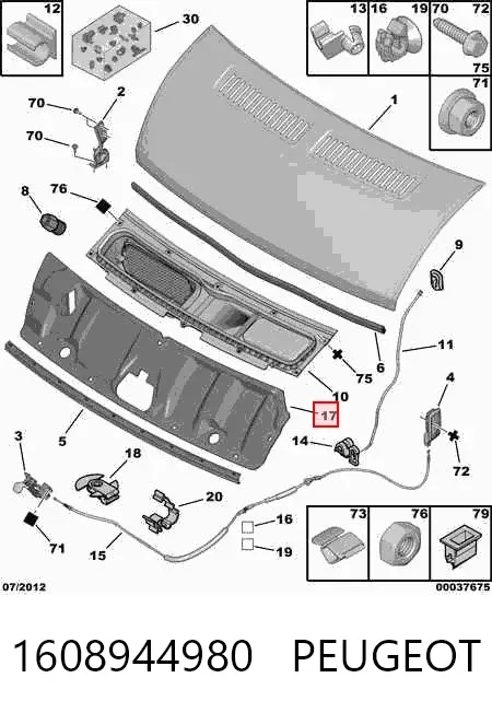 Aislamiento del Capó 1608944980 Peugeot/Citroen