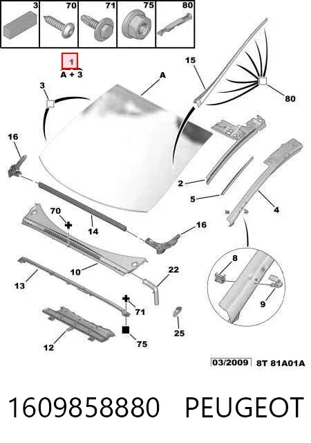 Parabrisas 1609858880 Peugeot/Citroen