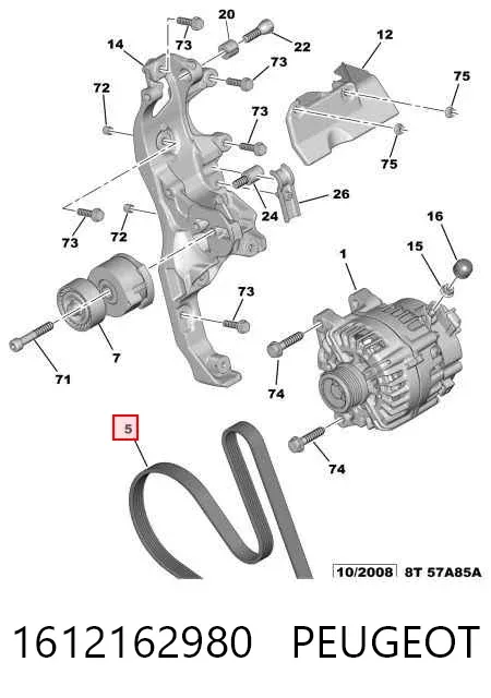 Correa de alternador 1612162980 Peugeot/Citroen