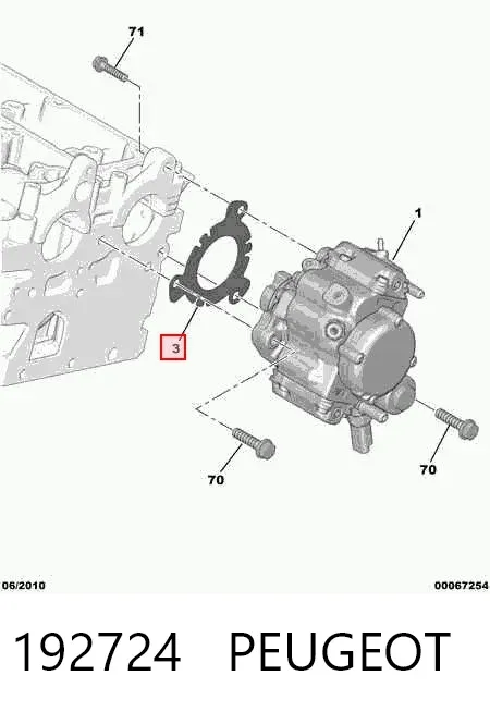 Junta de la bomba de inyección de alta presión 192724 Peugeot/Citroen
