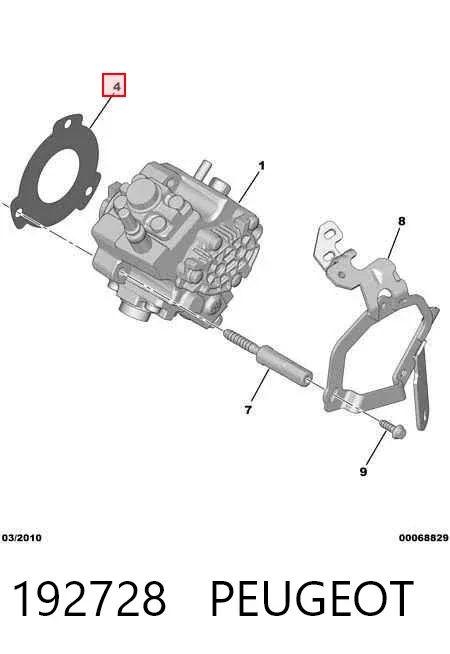 Junta de la bomba de inyección de alta presión 192728 Peugeot/Citroen