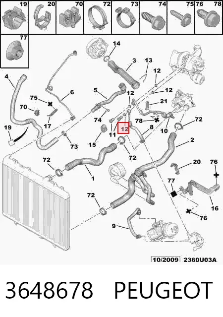 Junta (anillo) de la manguera de refrigeración de la turbina, de alimentación 3648678 Peugeot/Citroen