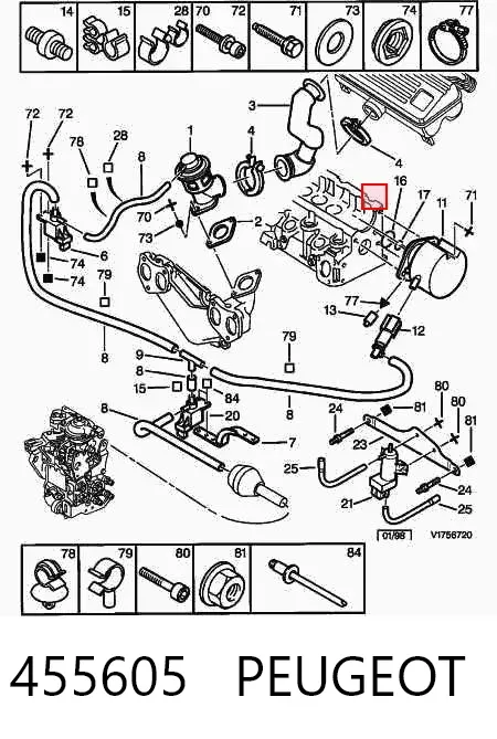Junta de la bomba de vacío 455605 Peugeot/Citroen