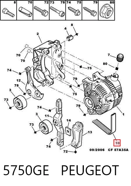 Correa de alternador 5750GE Peugeot/Citroen