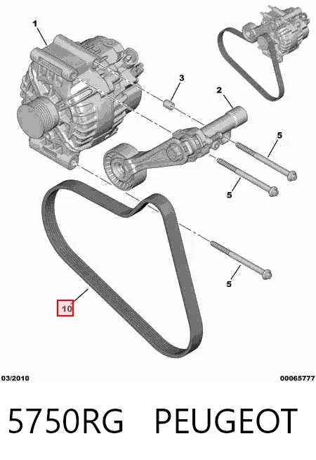 Correa de alternador 5750RG Peugeot/Citroen