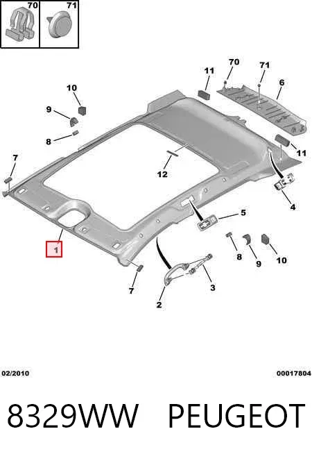 Techo interior Peugeot 407 SW