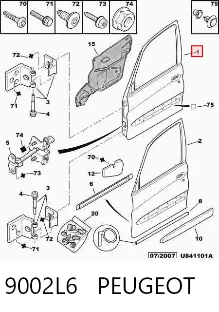 Puerta delantera izquierda 9002L6 Peugeot/Citroen