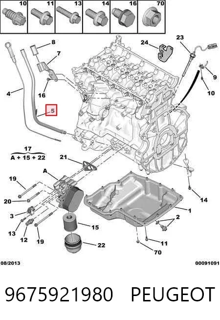 Guía de la varilla de nivel de aceite del motor 9675921980 Peugeot/Citroen