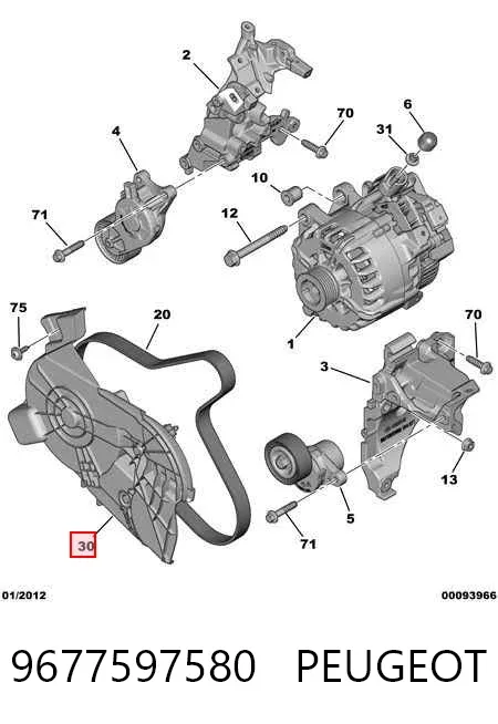  9677597580 Peugeot/Citroen