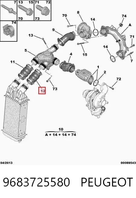 Tubo intercooler 9683725580 Peugeot/Citroen