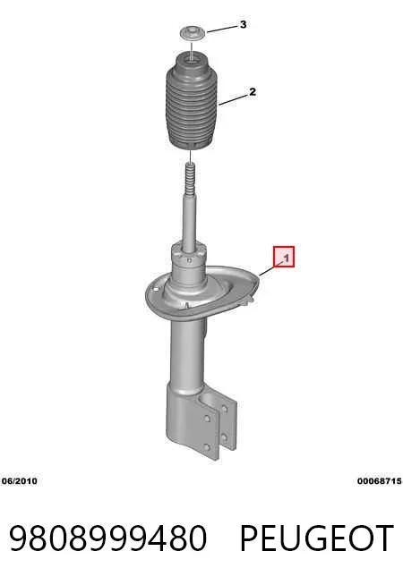 Amortiguador delantero derecho 9808999480 Peugeot/Citroen