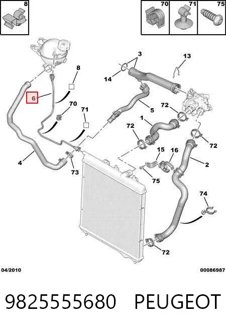 Manguera superior del depósito de expansión 9825555680 Peugeot/Citroen