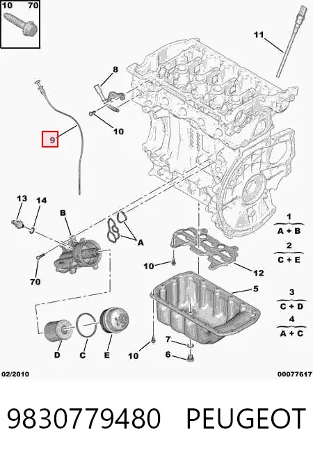 Varilla de aceite 9830779480 Peugeot/Citroen