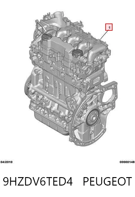 Motor completo 9HZDV6TED4 Peugeot/Citroen