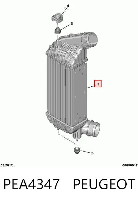 Intercooler PEA4347 Peugeot/Citroen