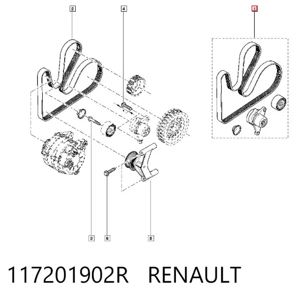 Correa de transmisión 117201902R Renault (RVI)