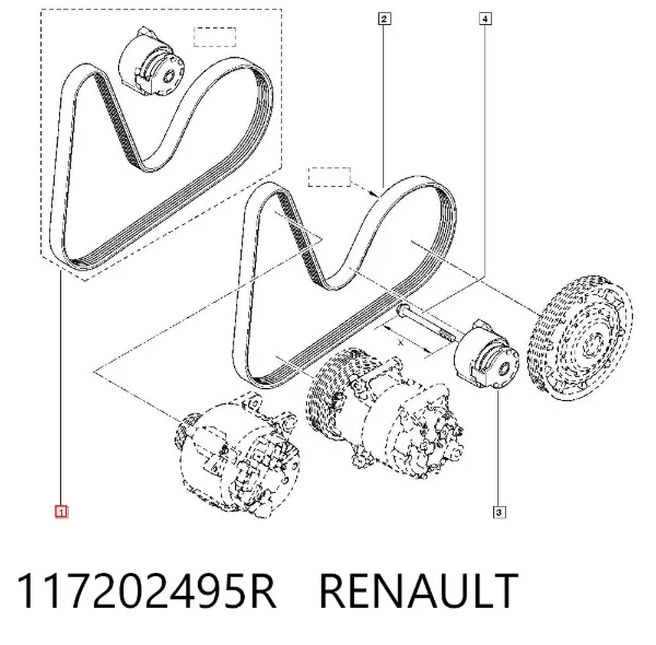 Correa de transmisión 117202495R Renault (RVI)