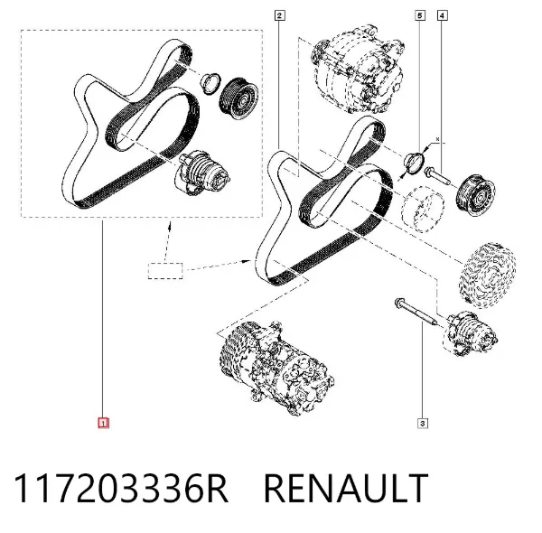 Correa de transmisión 117203336R Renault (RVI)